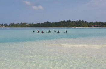 WhatsApp Image 2024-07-14 at 9.19.45 AM